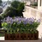 Grand Verde Wildflowers Artificial Flowers Real Touch Bouquets Faux Ranunculus Bulk Greenery, 10pcs